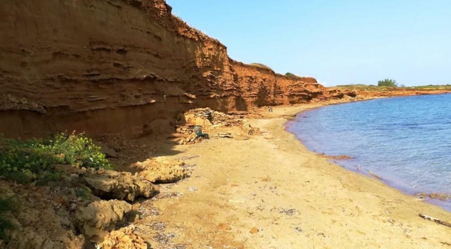Apartmani Caganic Villa Bledi Vir Dış mekan fotoğraf
